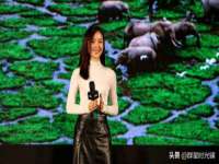 上海申掣网络科技有限公司