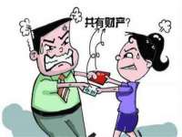 上海申掣网络科技有限公司