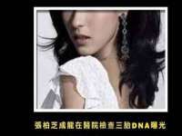 上海申掣网络科技有限公司