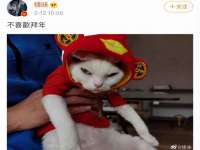上海申掣网络科技有限公司