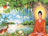 上海申掣网络科技有限公司