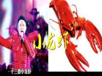 上海申掣网络科技有限公司