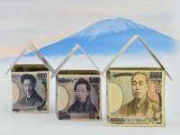 上海申掣网络科技有限公司