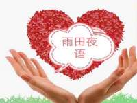 上海申掣网络科技有限公司