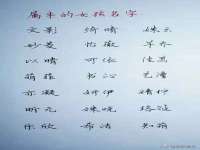 上海申掣网络科技有限公司