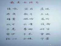 上海申掣网络科技有限公司