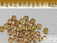 上海申掣网络科技有限公司